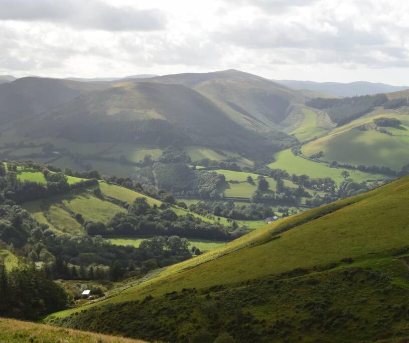 Luxury Lodge In The Treetops Llanbrynmair エクステリア 写真