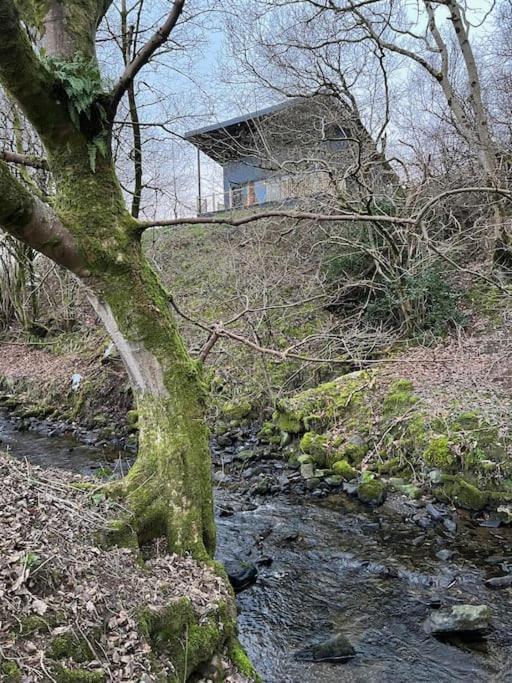 Luxury Lodge In The Treetops Llanbrynmair エクステリア 写真