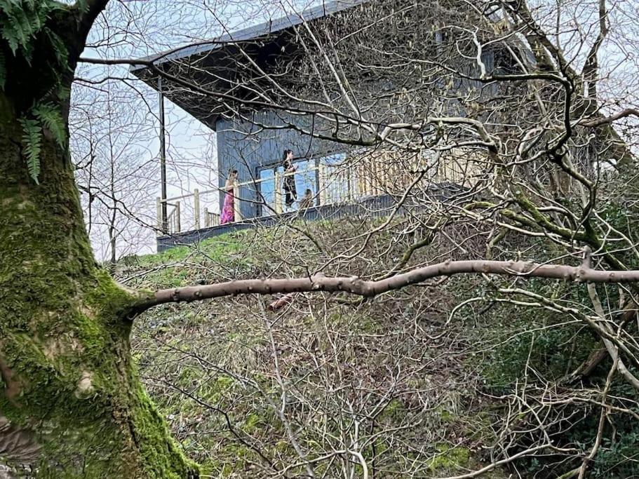 Luxury Lodge In The Treetops Llanbrynmair エクステリア 写真