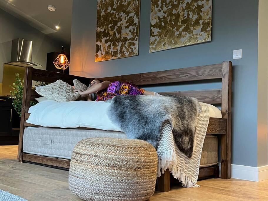 Luxury Lodge In The Treetops Llanbrynmair エクステリア 写真