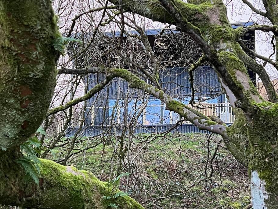 Luxury Lodge In The Treetops Llanbrynmair エクステリア 写真